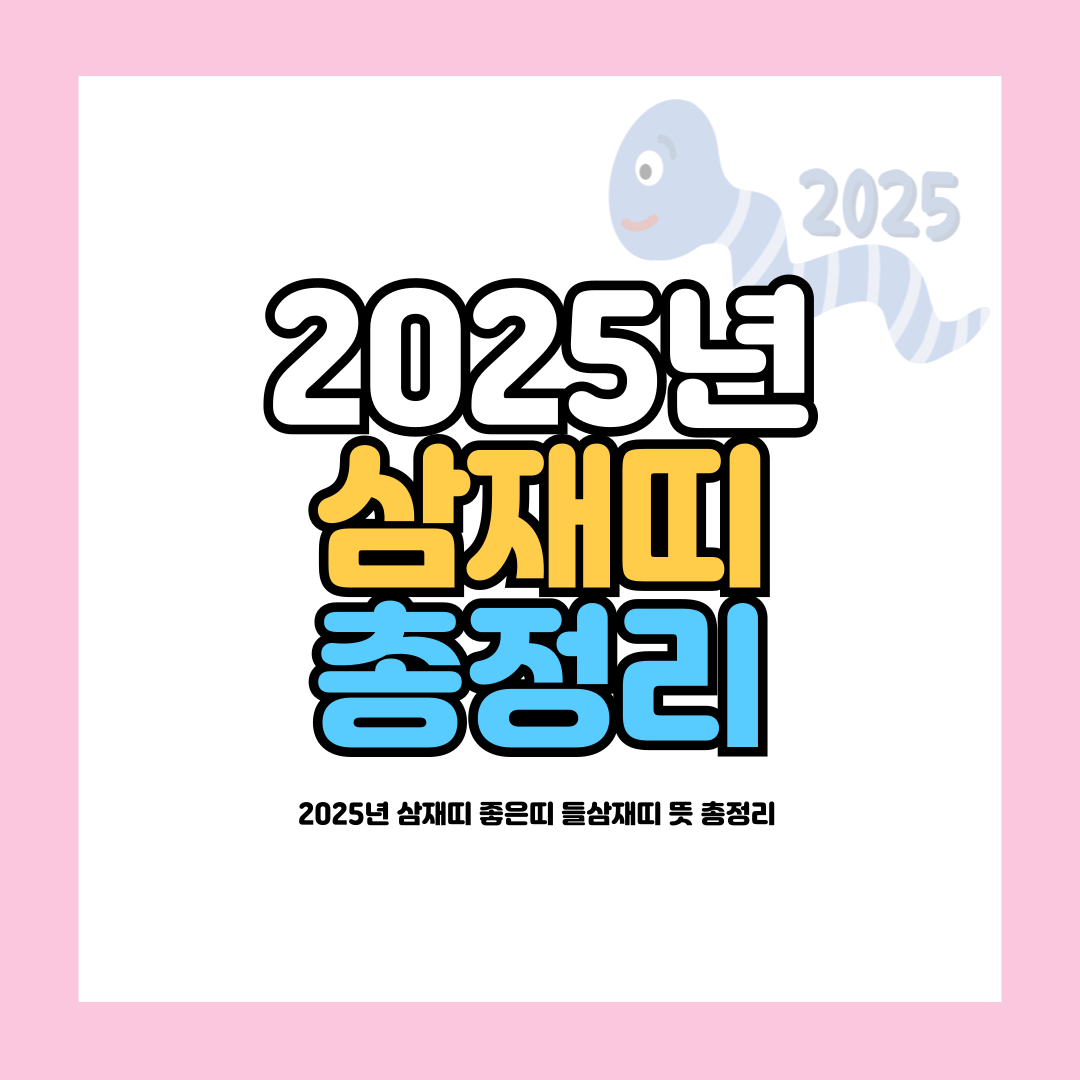 2025년 삼재띠