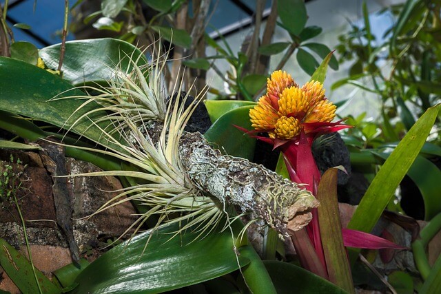 부동산 거래량 감소 원인과 해결책