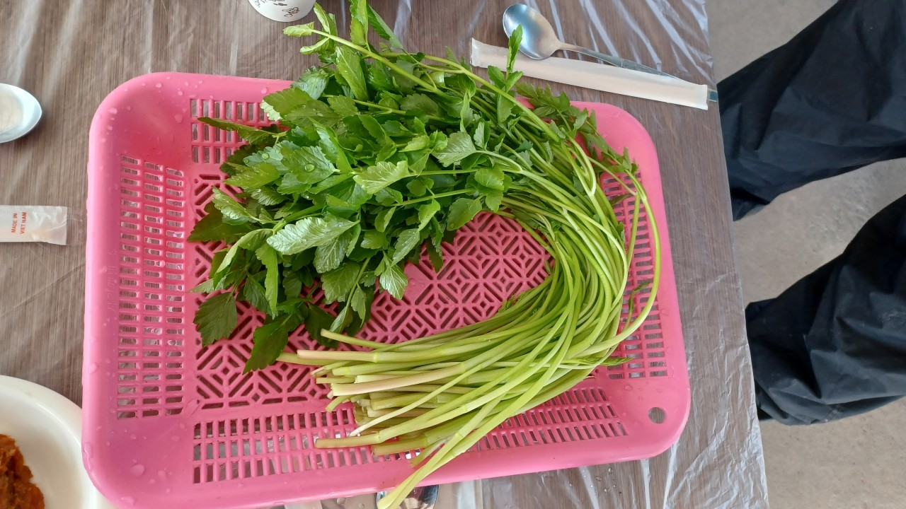 6시내고향 미나리