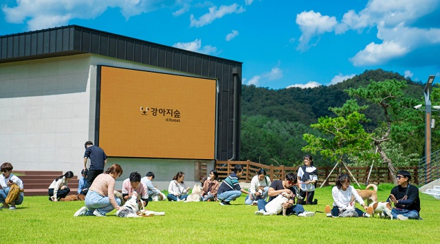 춘천 가볼만한곳