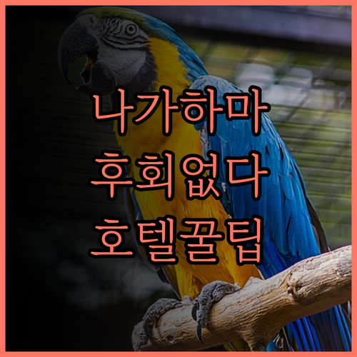 호텔 루트 인 나가하마 인터, 후회 