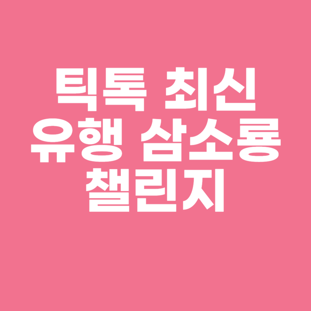 틱톡 최신 유행 삼소룡 챌린지