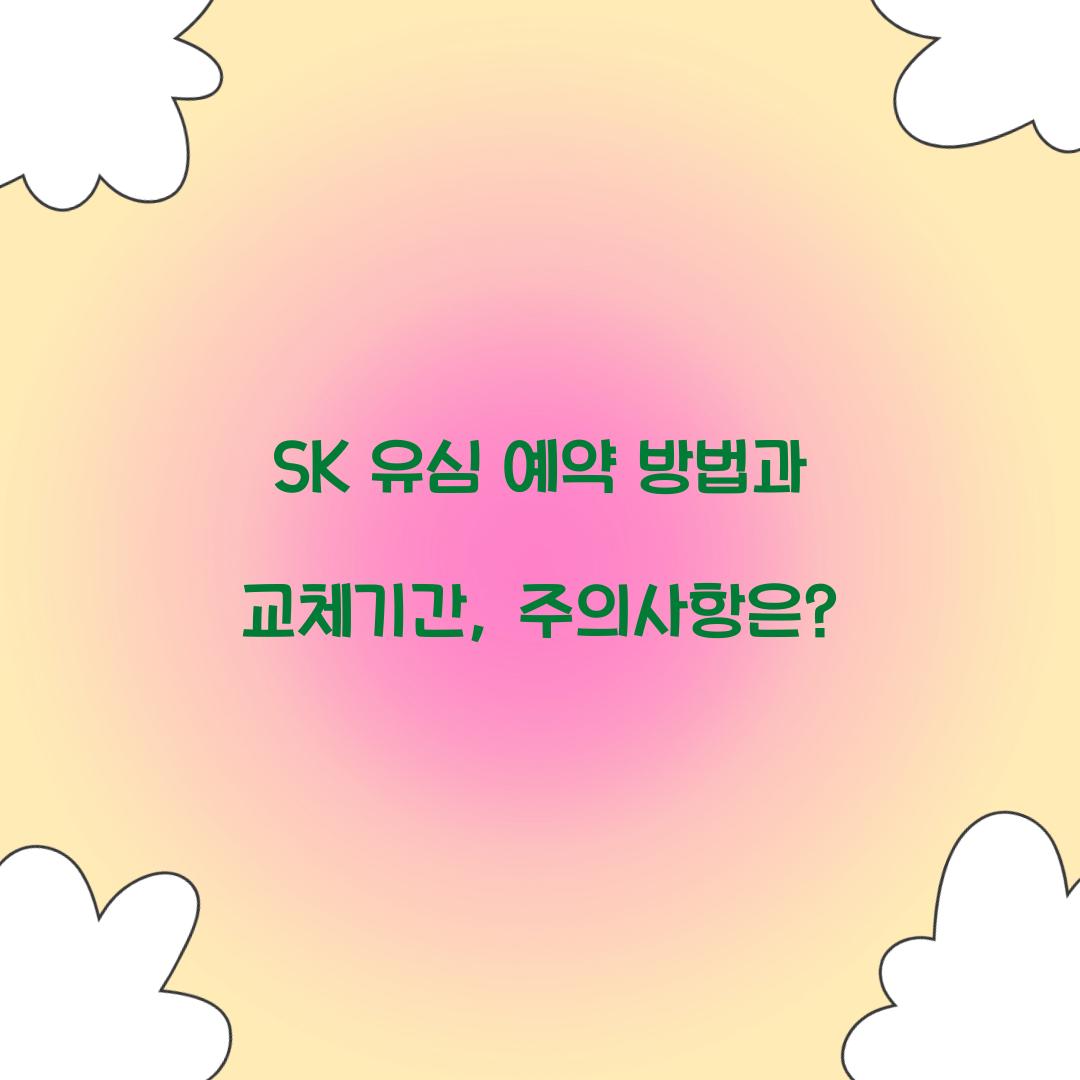 SK 유심 예약