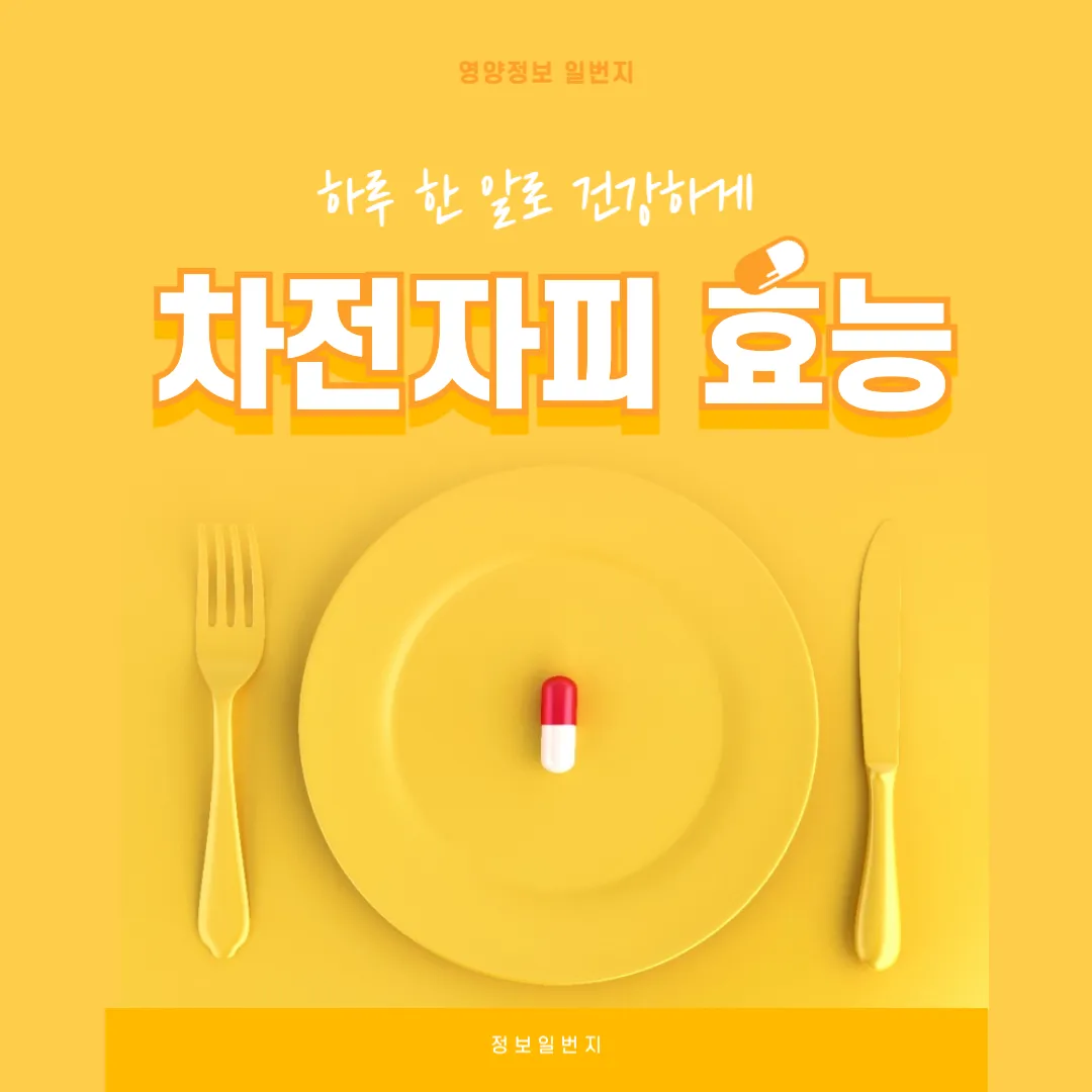 차전자피 효능, 차전자피 복용법, 차전자피 다이어트, 차전자피 후기, 차전자피 장 건강