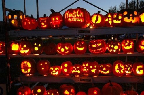 할로윈 축제 사진