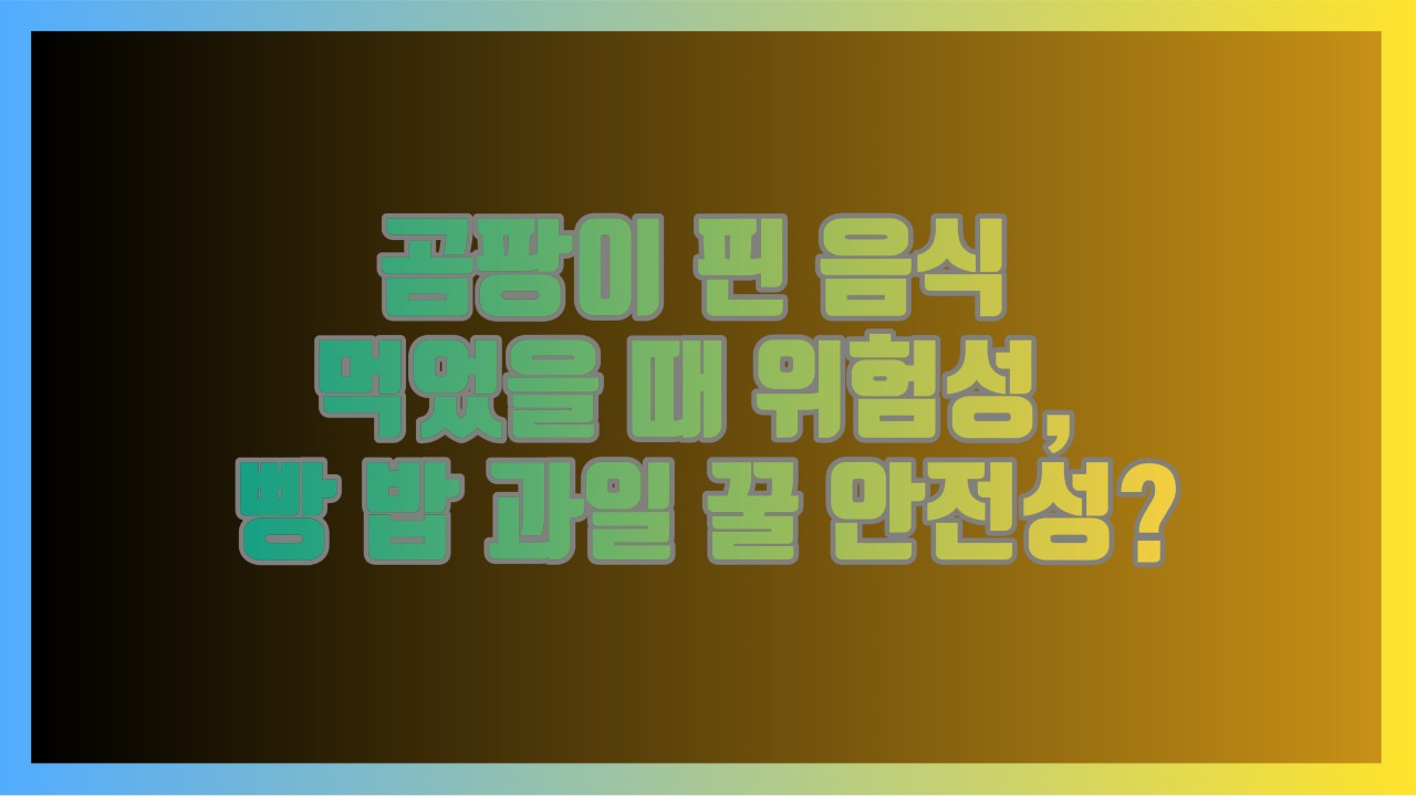 곰팡이 핀 음식 먹었을 때 위험성, 빵 밥 과일 꿀 안전성 해설