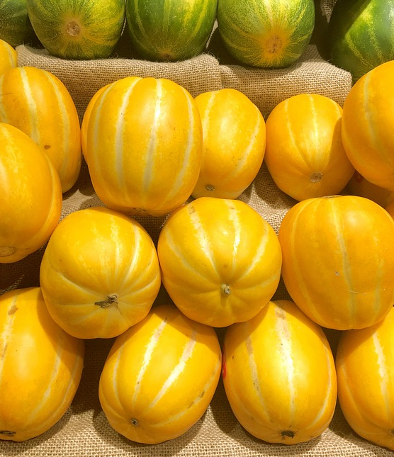 참외 효능 부작용 칼로리