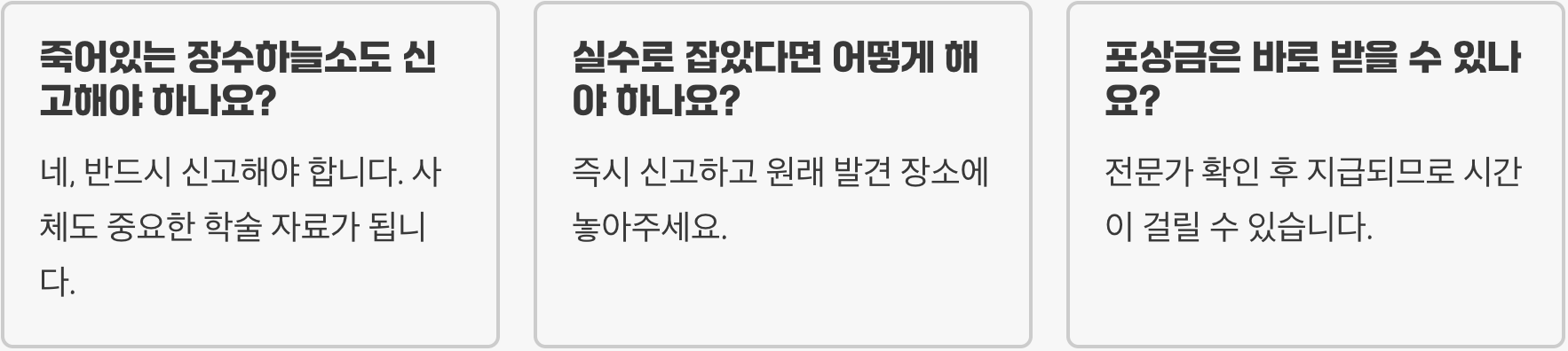 로또 맞을 확률? 천연기념물 장수하늘소 발견 시 대처법과 신고 포상금 총정리
