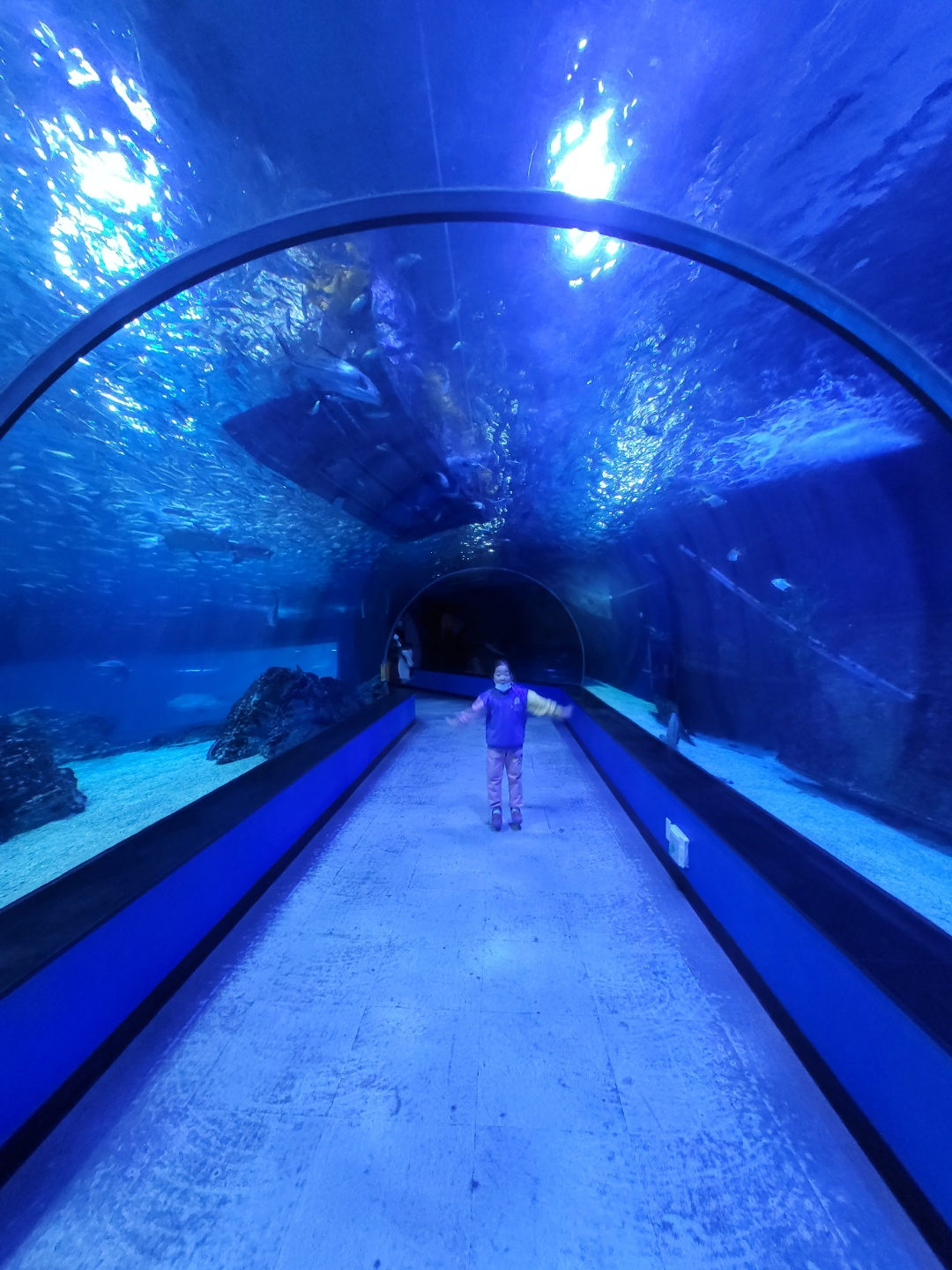 부산 아쿠아리움