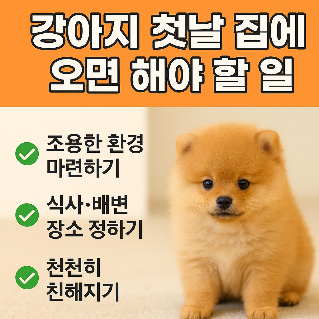 강아지가 집에 처음 오는 날, 보호자가 해야 할 준비