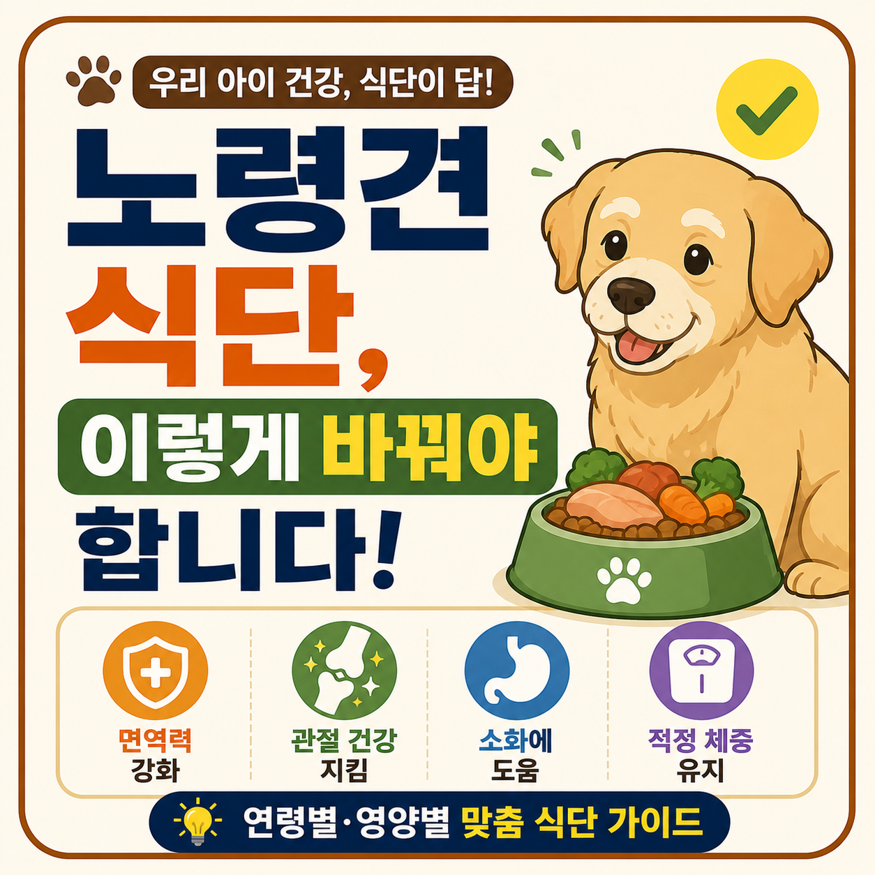 노령견 식단