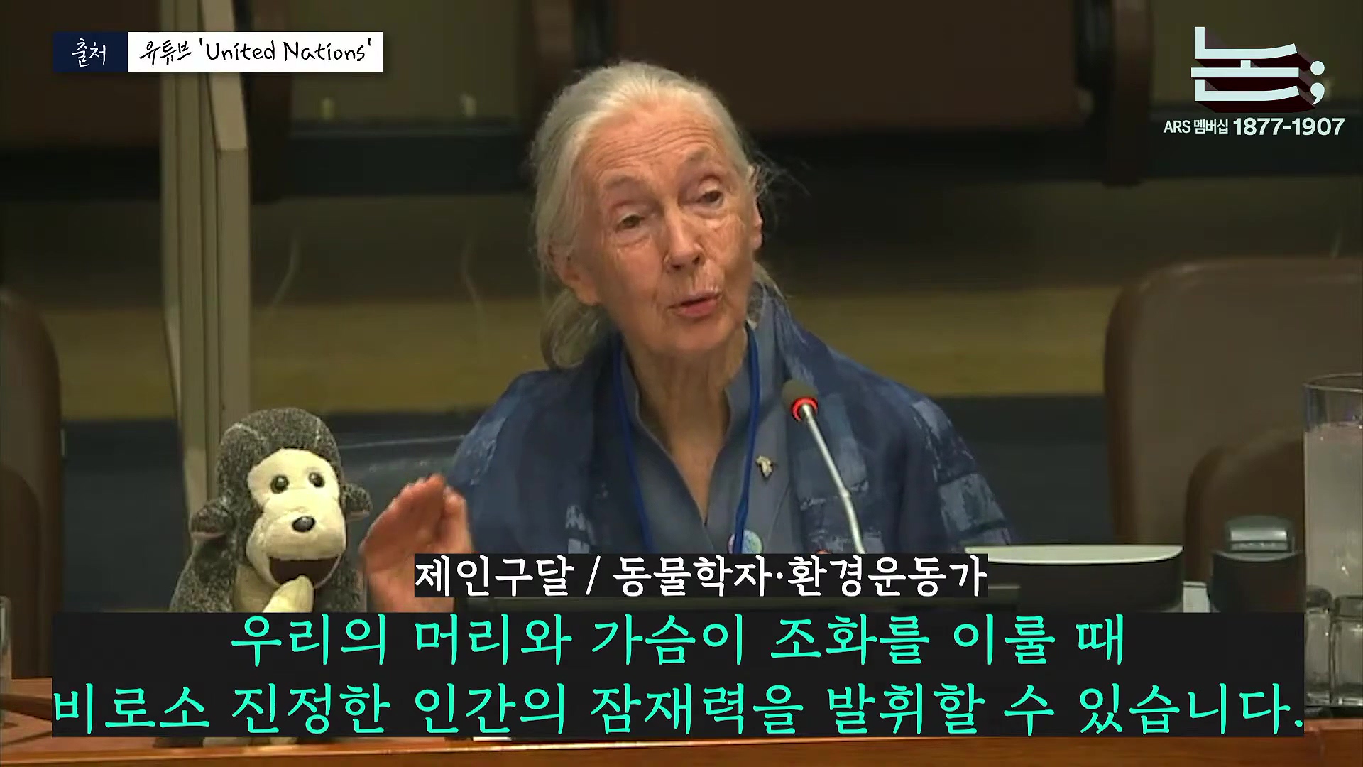 [정준희의 논] '제국의 위안부' 박유하와 '침팬지의 어머니' 제인 구달ㅣ2025년 10월 2일 목요일.mp4_20251006_195631.040.jpg