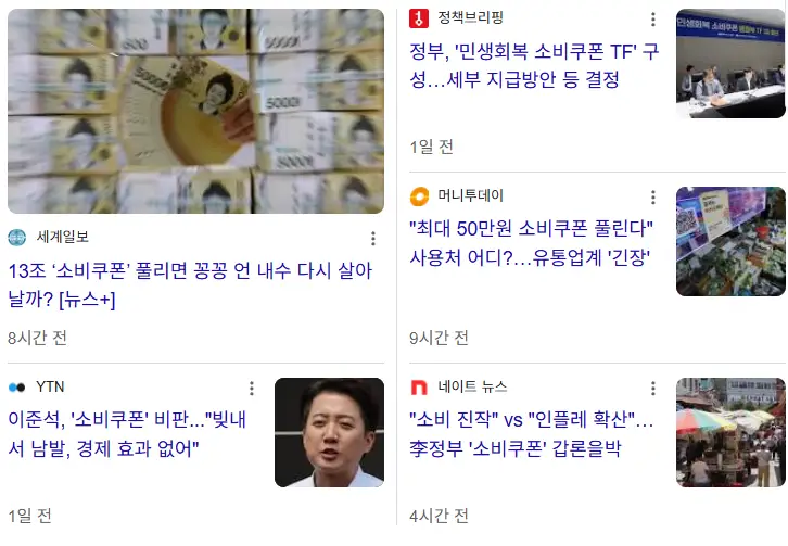 소비쿠폰-관련기사