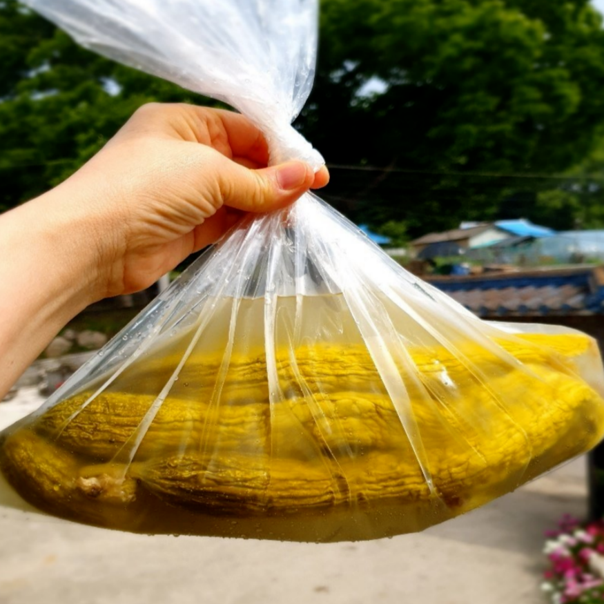 오이지 담그는 방법 (물없이 아삭하게 만드는 핵심 레시피)