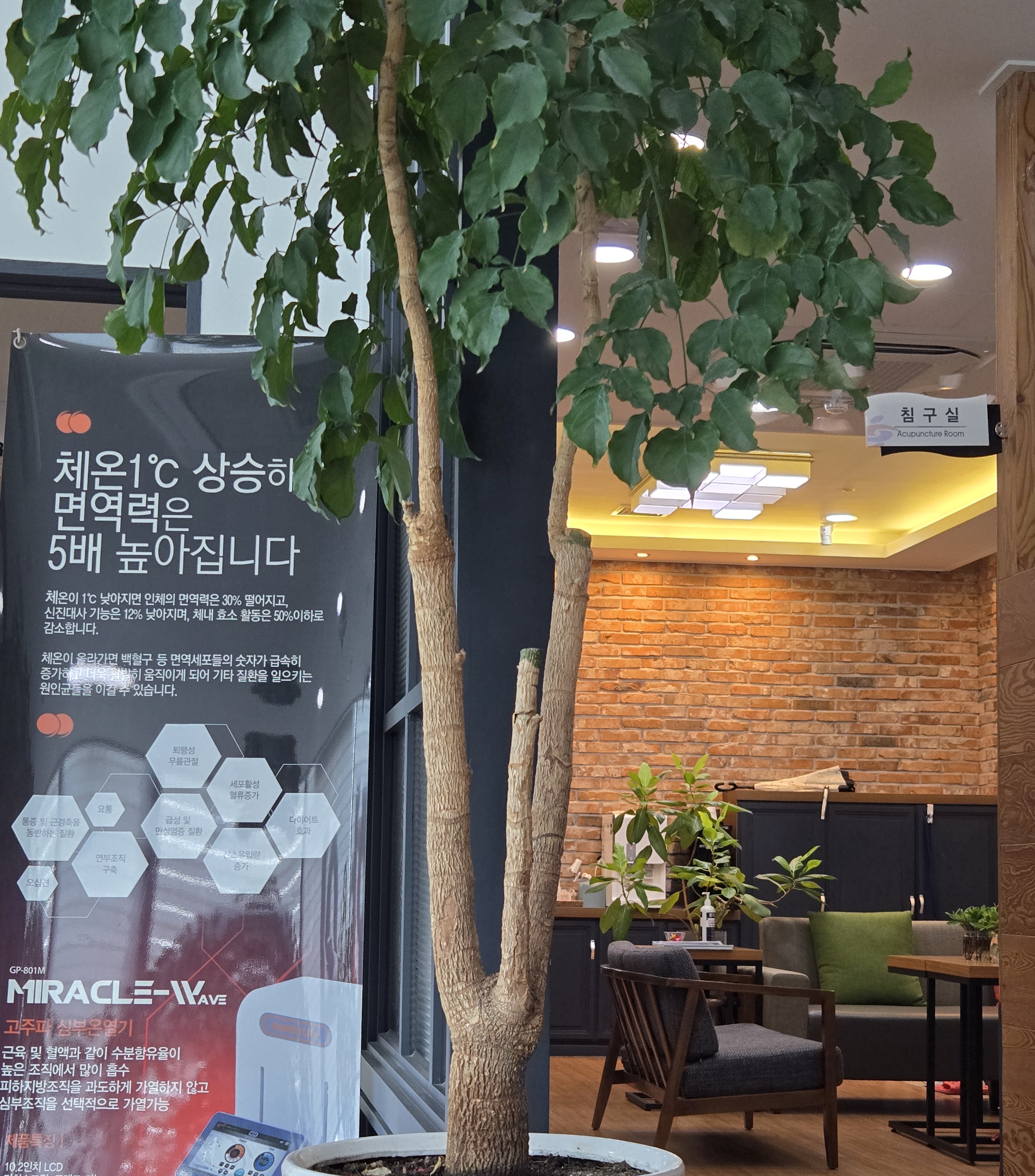 한의원 대기실에 놓인 건강 정보 배너