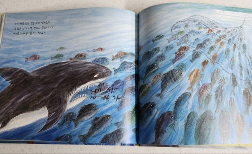 상어가 나타났다