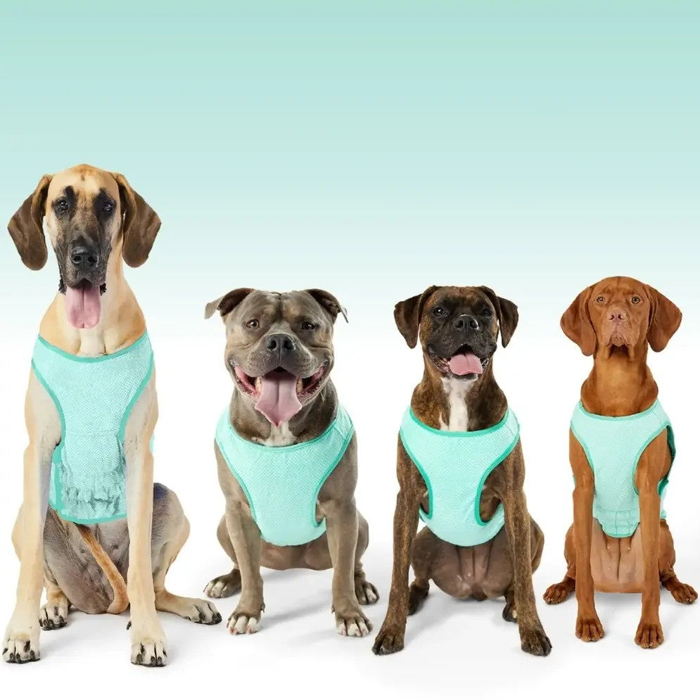 Cooling Vest Image