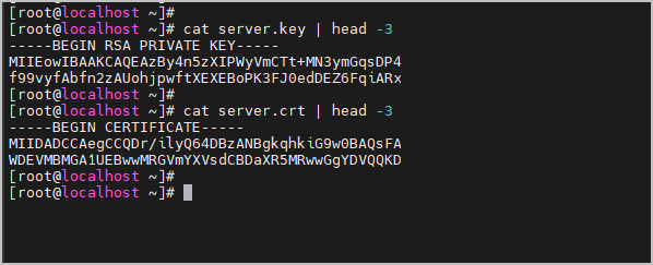 사설 인증서 확인