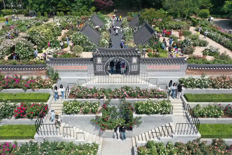 장미축제-장미의뜨락