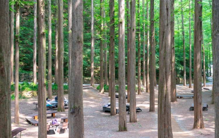 장태산 자연휴양림