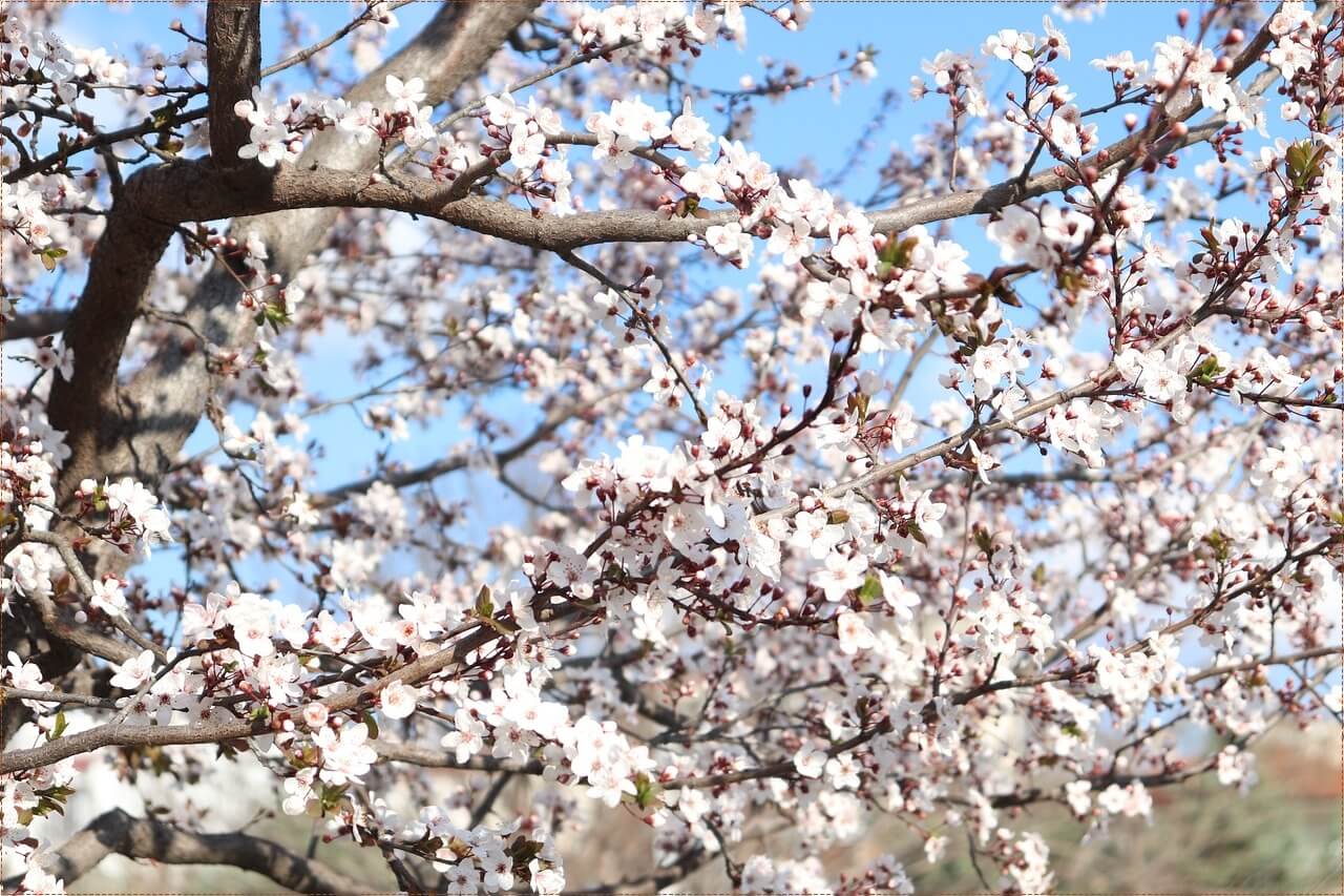 신한은행 정기예금 금리