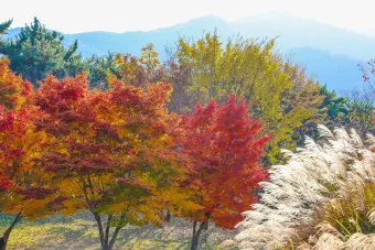 대구 가볼만한곳 베스트10 근대골목 수성못 노포맛집 여유 코스_14