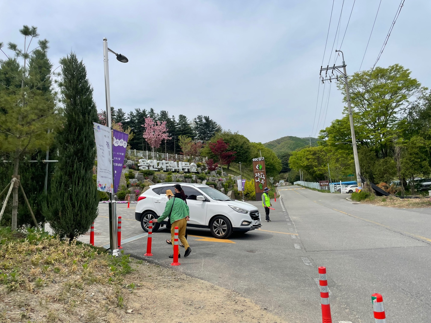 용인 자작나무숲 베툴라 대형 베이커피 카페