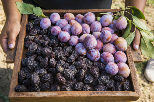 변비에 좋은 음식 - 푸룬