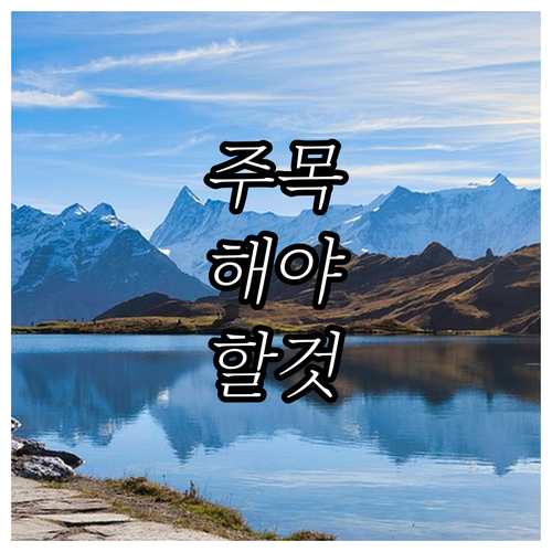 장애인 고용 고민 해결! 2025년 ..