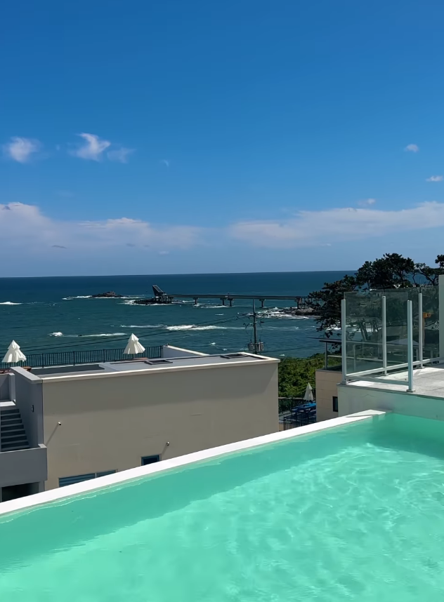 포항구룡포씨푸드축제-포항가볼만한 곳