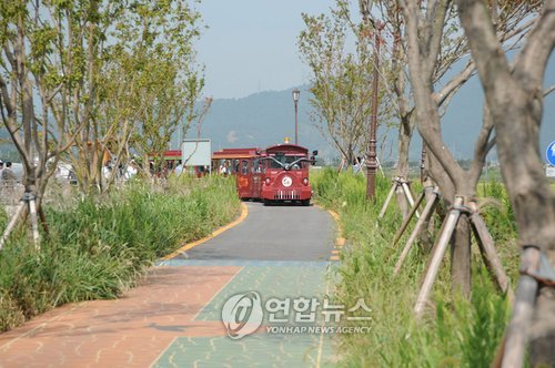 순천만 갈대축제