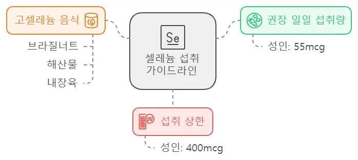 셀레늄 섭취 가이드