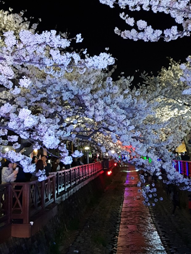 진해군항제 축제
