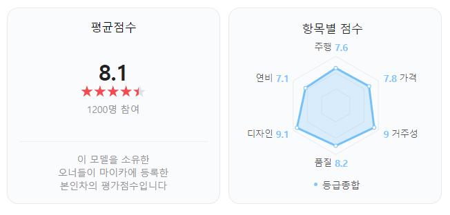 레이 실제 오너 평가