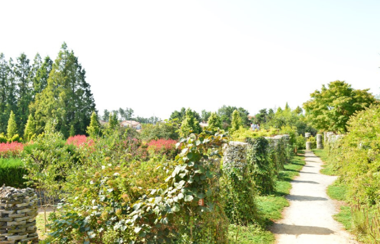 태안 청산수목원