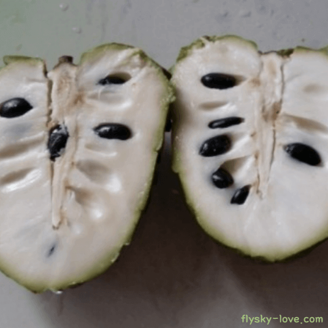 열대과일 아떼모야 먹는 방법