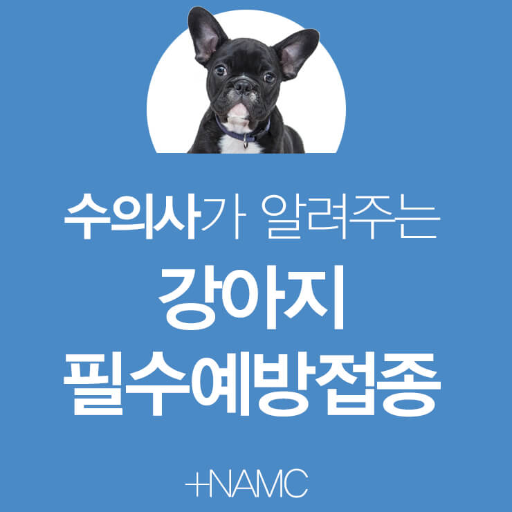 강아지 예방접종 일정 총정리