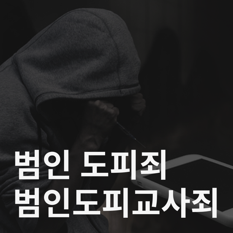 범인도피죄