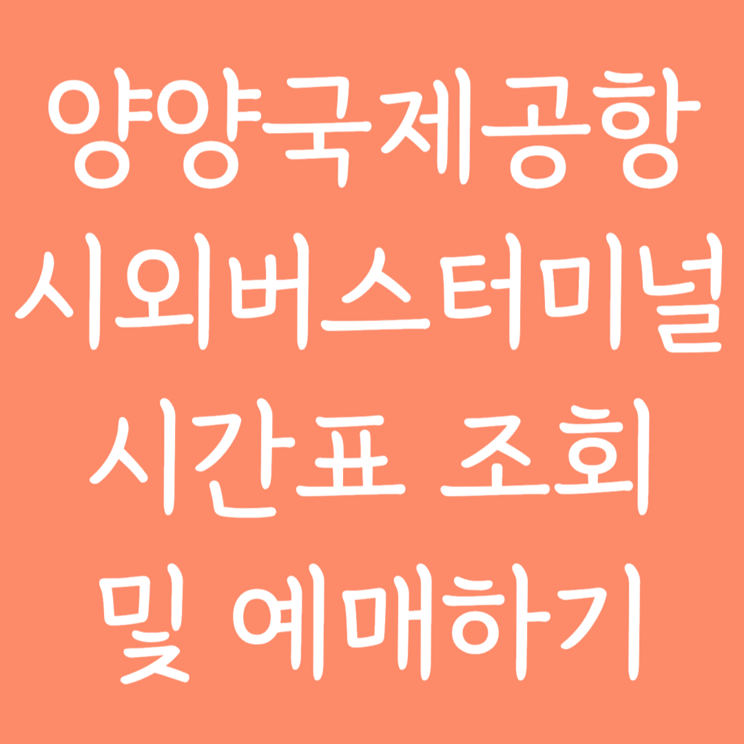양양국제공항 시외버스터미널 시간표조회 및 예매하기