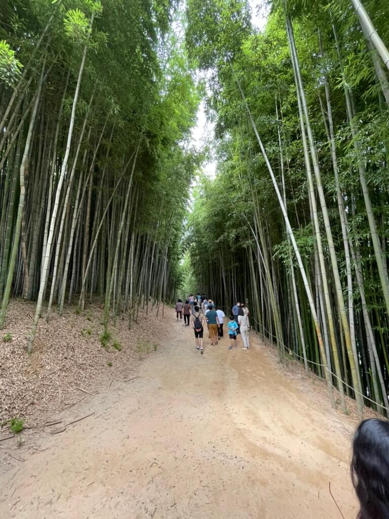 담양 죽녹원 입장료