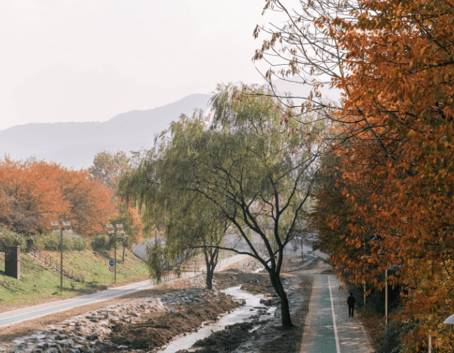 8. 양재 시민의 숲(매헌시민의 숲)