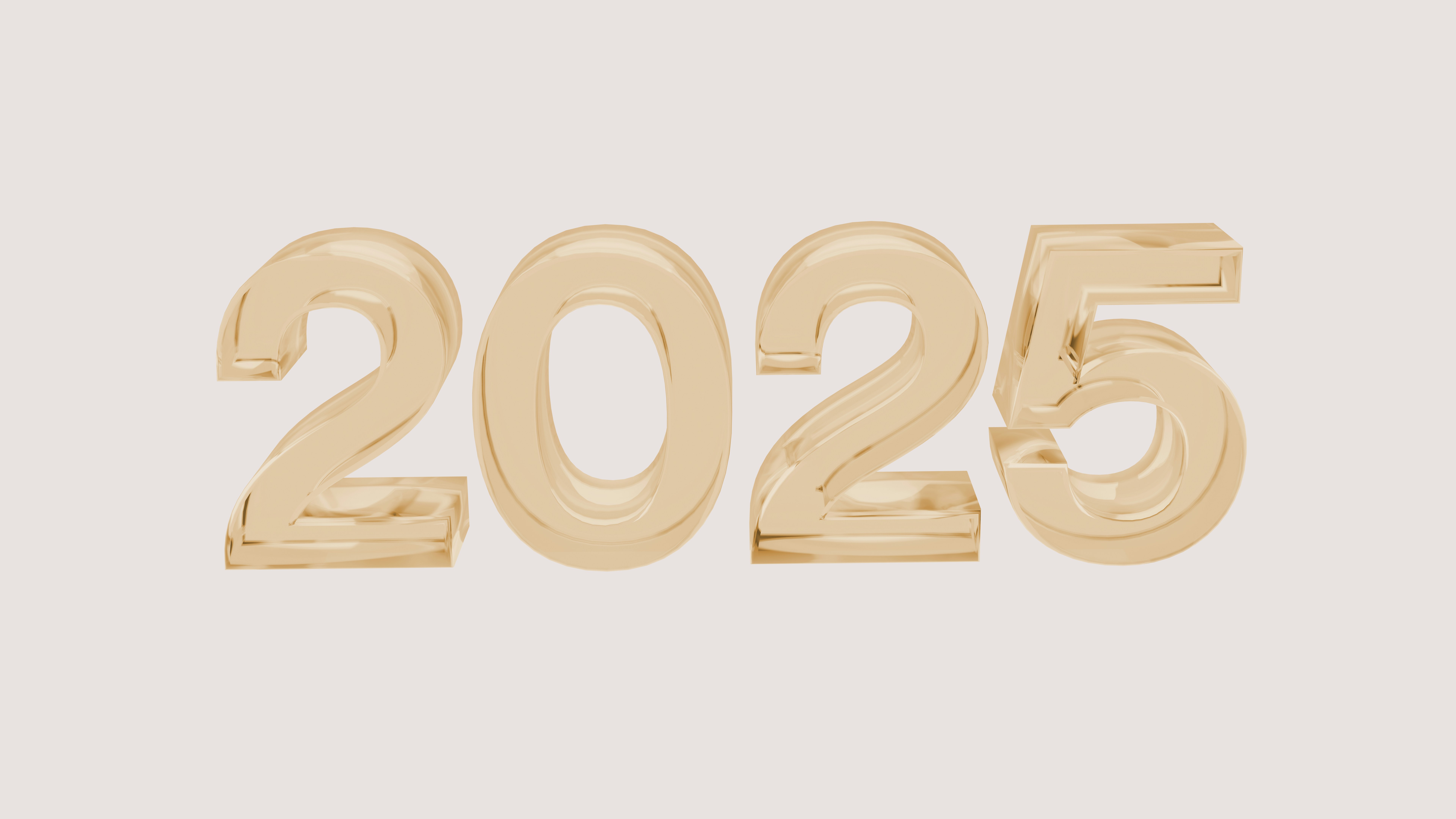 2025 을사년 새해 운세