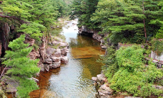 무릉계곡 관련 홍보영상 이미지