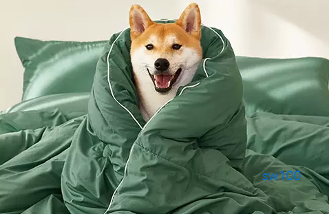 마틸라 웹사이트