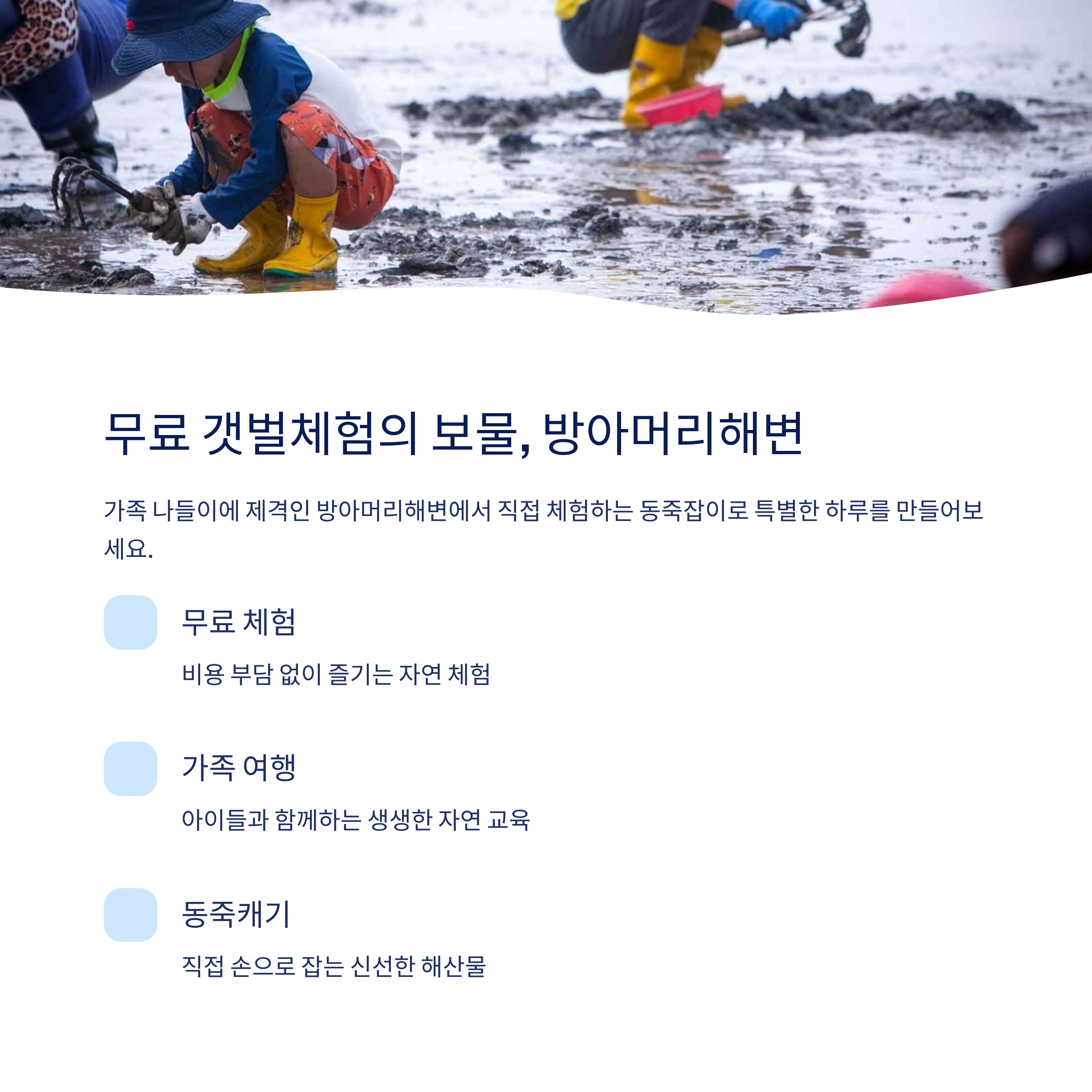 무료 갯벌체험의 보물