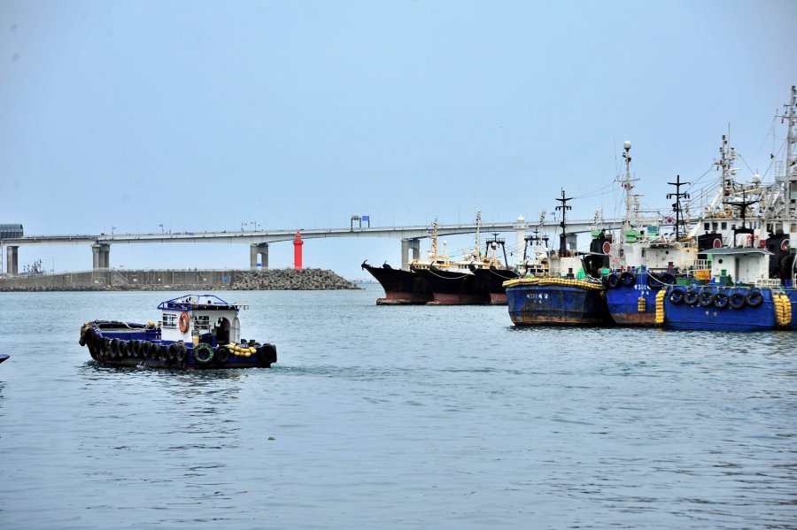 남항에서 바라본 남항대교