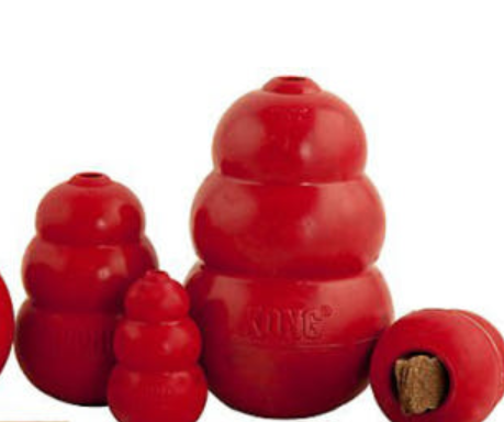 강아지 장난감 추천