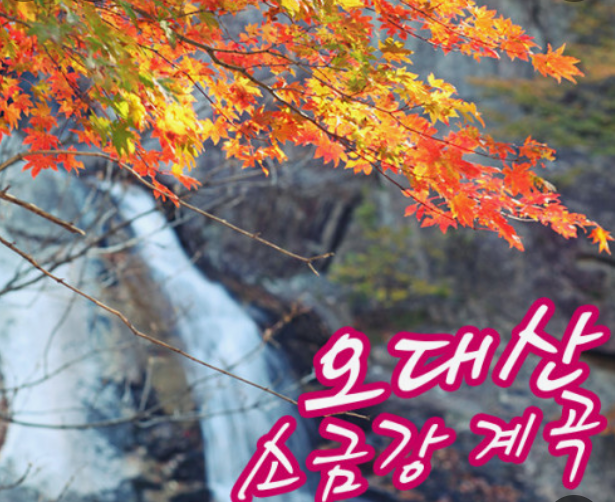 전국단풍명소