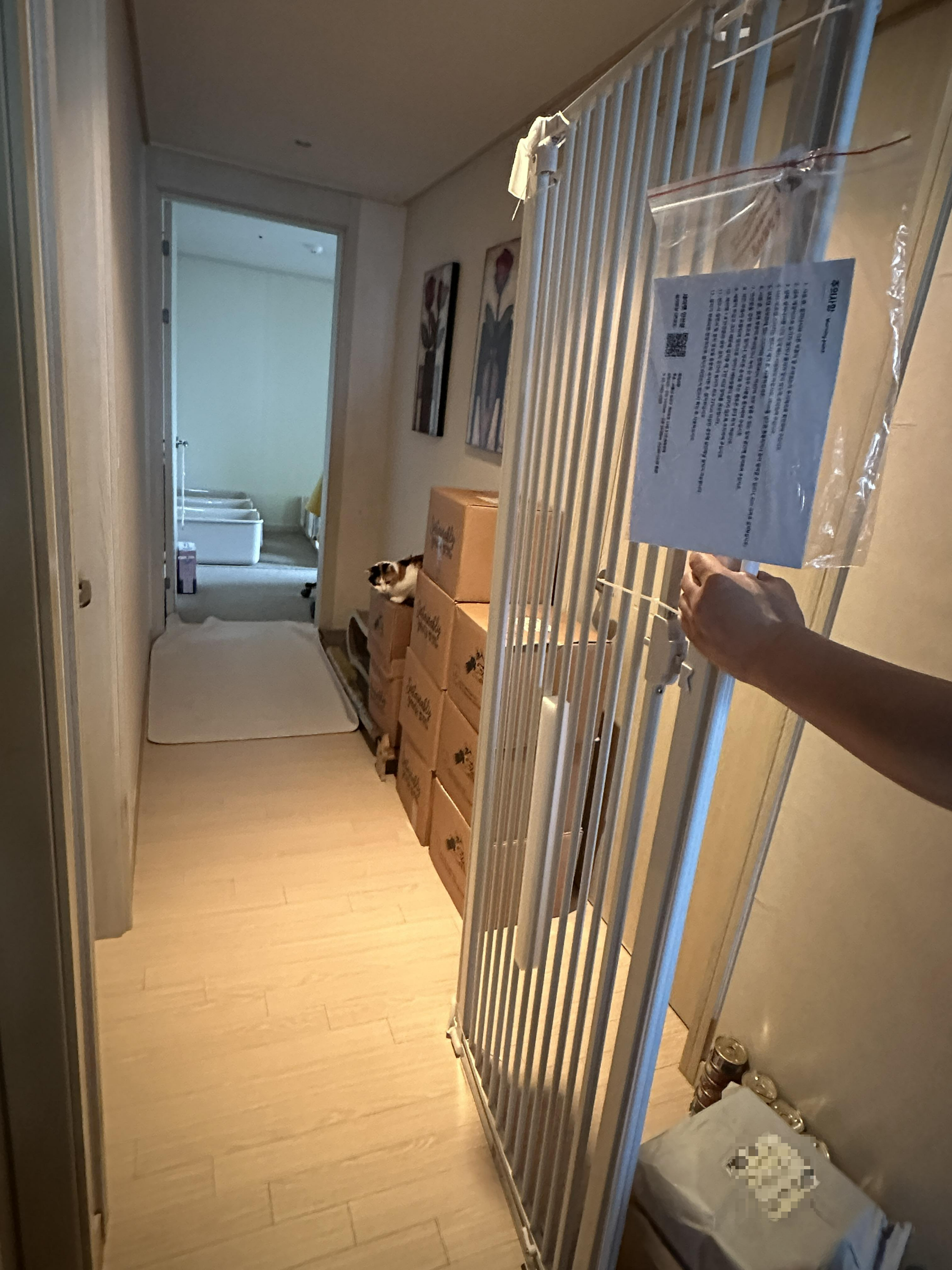 세이펫_1.8M_안전문