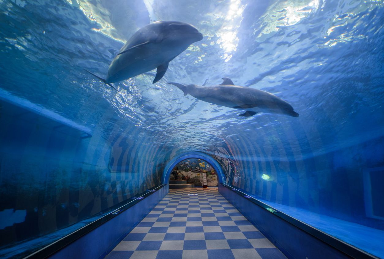 장생포 고래생태체험관